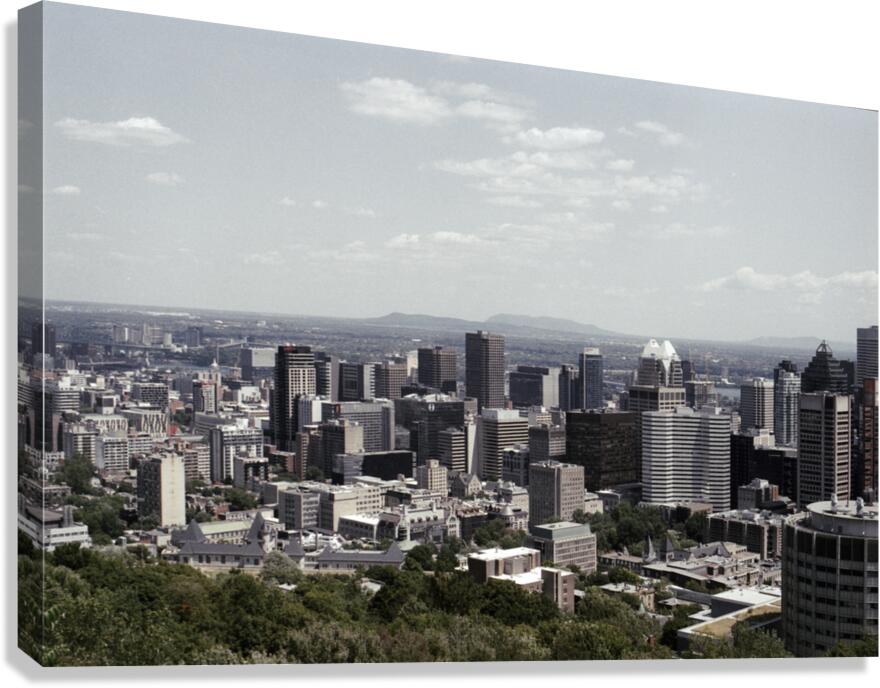 Montreal Skyline On A Sunny Day  Canvas Print